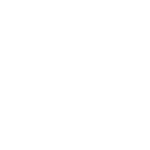 flecha